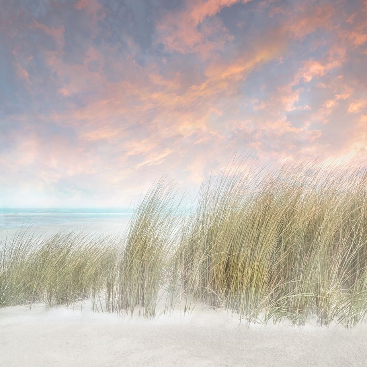 Windswept II Poster Print by Mike Calascibetta - Item # VARPDX40299